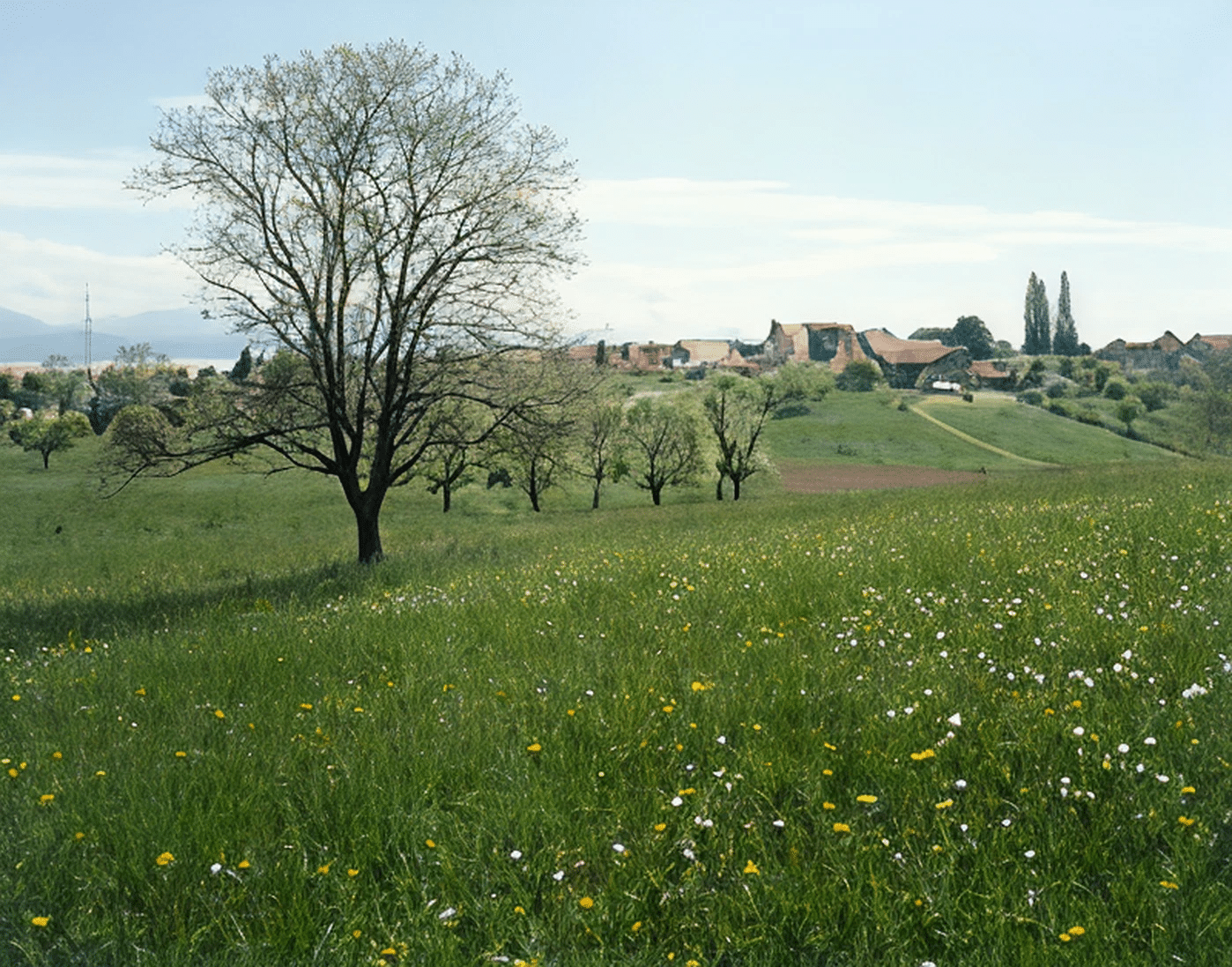 https://villars.321dev.ch/wp-content/uploads/2025/09/villars-ste-croix-champ.png